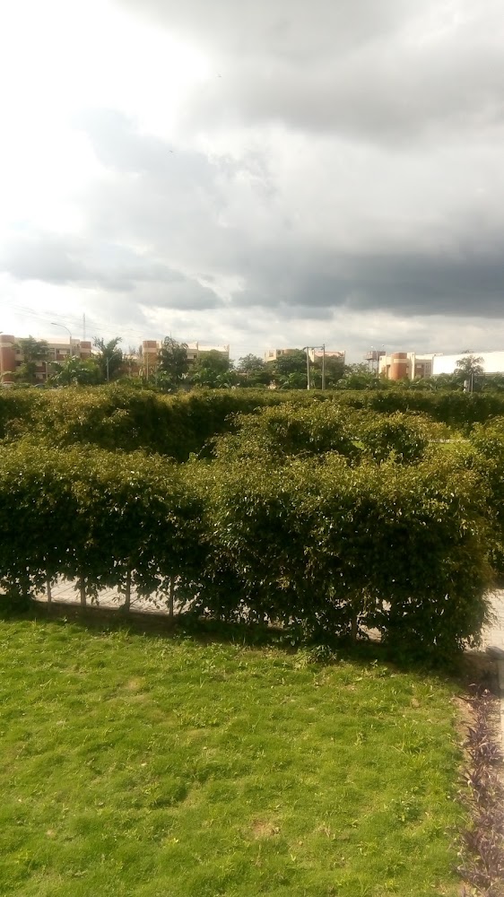 Palme D'or Gardens photo 3